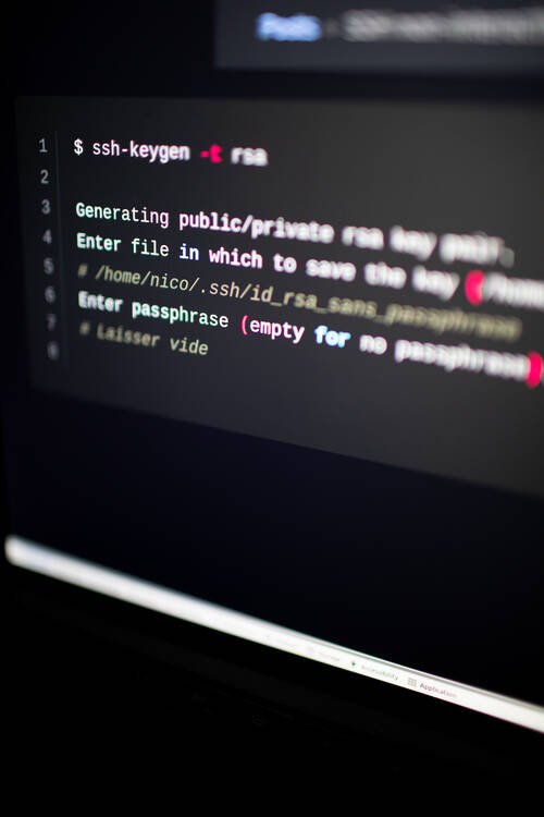 A terminal open on a Ubuntu desktop