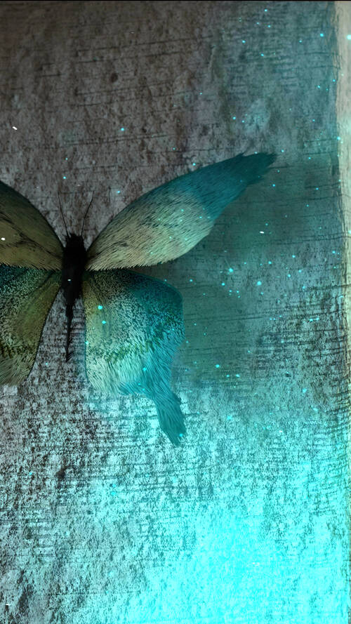 3D rendered image representing a strange butterfly on a wall.