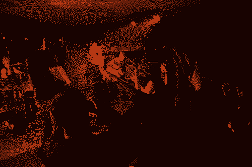 Concert de Nico avec son groupe avec le public