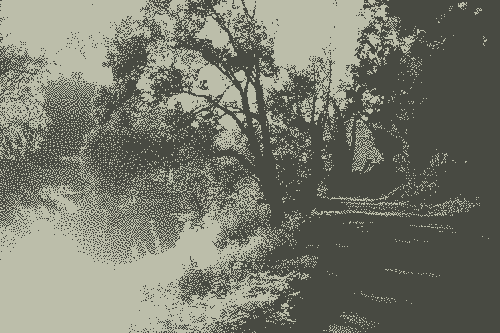 Trees along a road