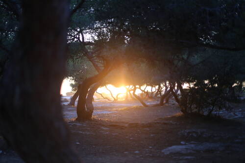 A sunset
