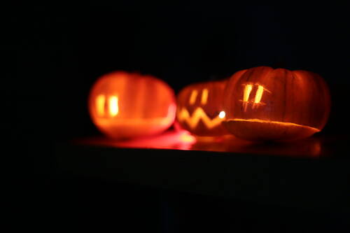 Three little halloween pumpkins